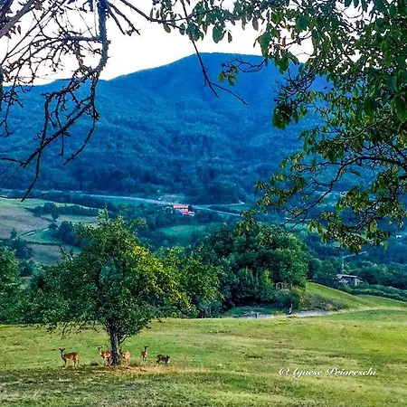 Il Borrino Farm stay