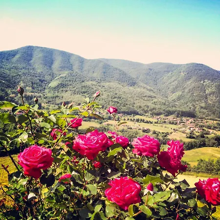 Il Borrino Farm stay *
