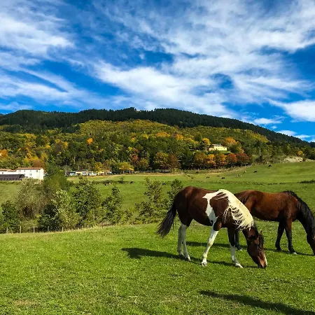 Farm stay Il Borrino
