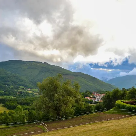 Farm stay Il Borrino *