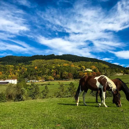 Farm stay Il Borrino *