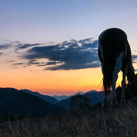 Gospodarstwo agroturystyczne Il Borrino *