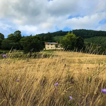 Gospodarstwo agroturystyczne Il Borrino