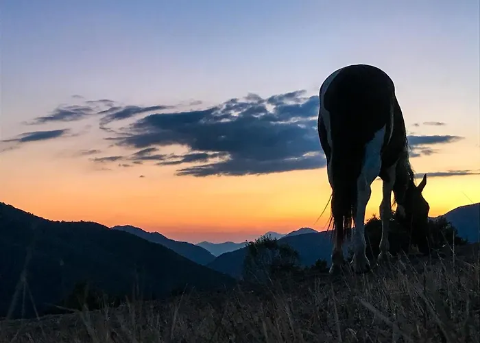 בית חווה Il Borrino *
