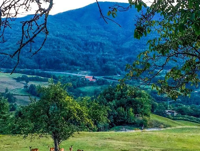 Il Borrino בית חווה