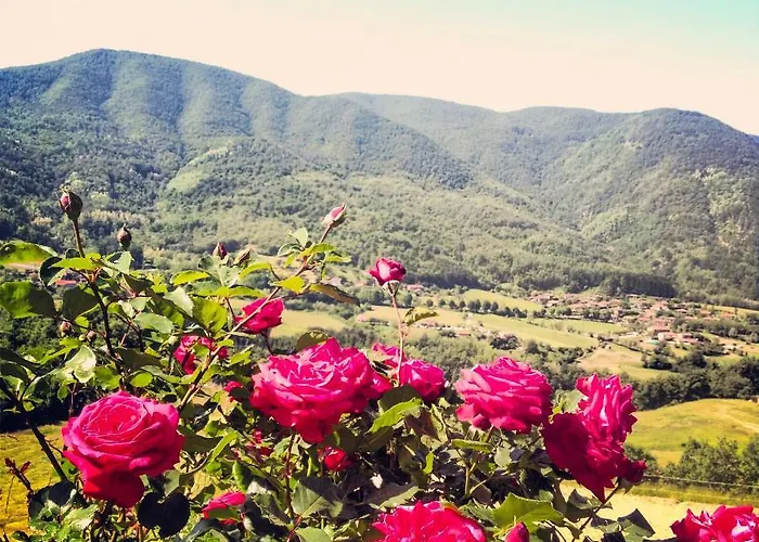 Il Borrino בית חווה *