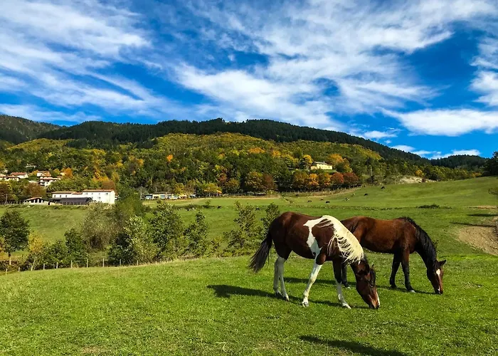 בית חווה Il Borrino