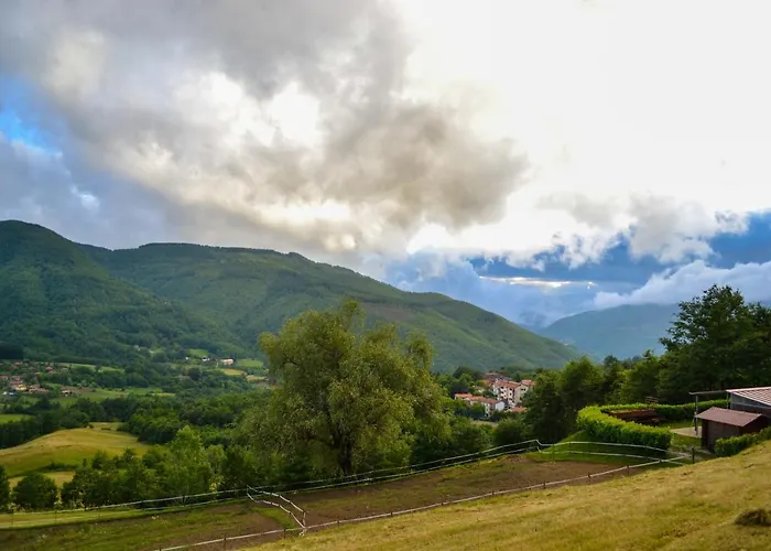 בית חווה Il Borrino *