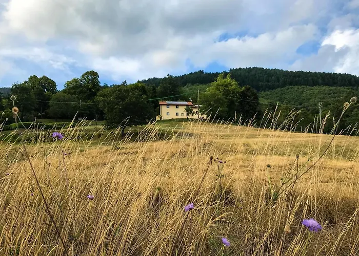 בית חווה Il Borrino