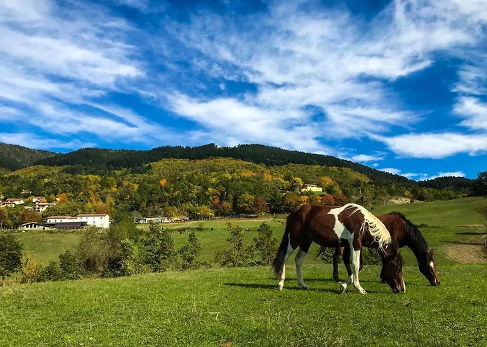 בית חווה Il Borrino *